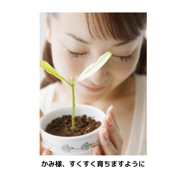 髪が育つ頭皮の育毛環境づくり